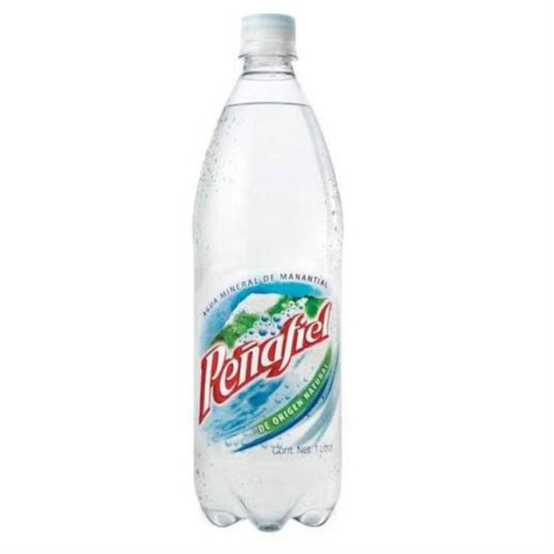 Agua-Mineral-Penafiel-1L