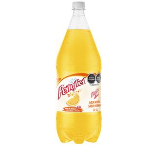 Peñafiel Naranjada 2Lt.