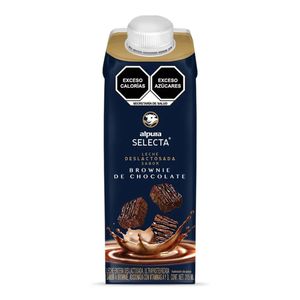 Saborizada Selecta Brownie 315ml