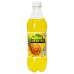 Jarritos-Piña-Aga-600ml