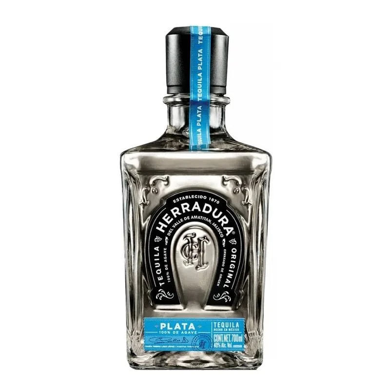 HERRADURA_PLATA