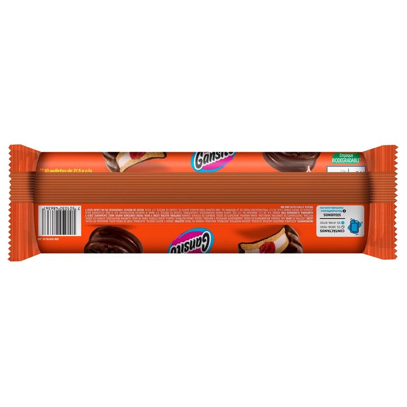 Galleta-Gansito